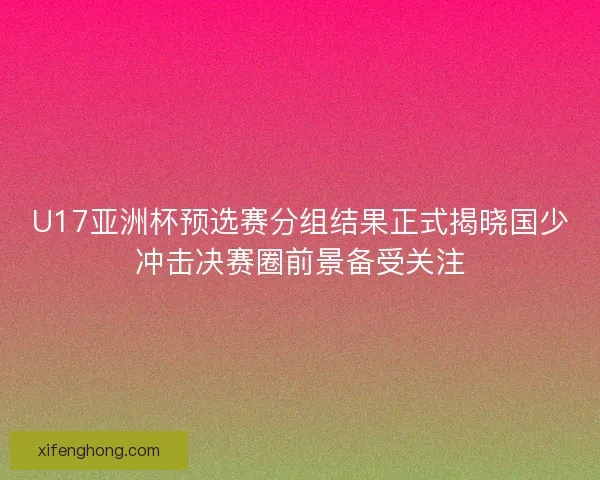 U17亚洲杯预选赛分组结果正式揭晓国少冲击决赛圈前景备受关注